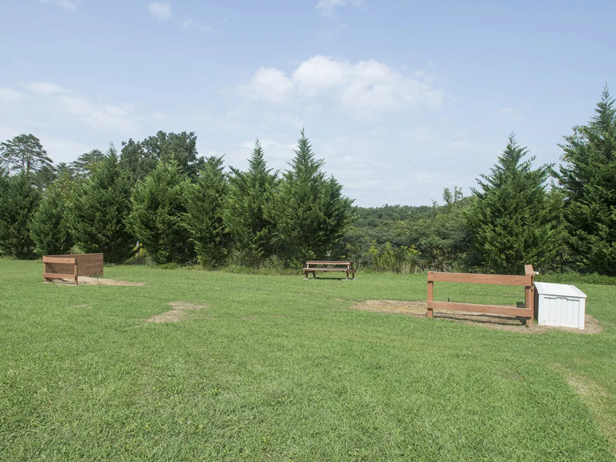 A serene outdoor area featuring benches, green grass, and trees, inviting guests to enjoy peaceful moments or strolls around the property.