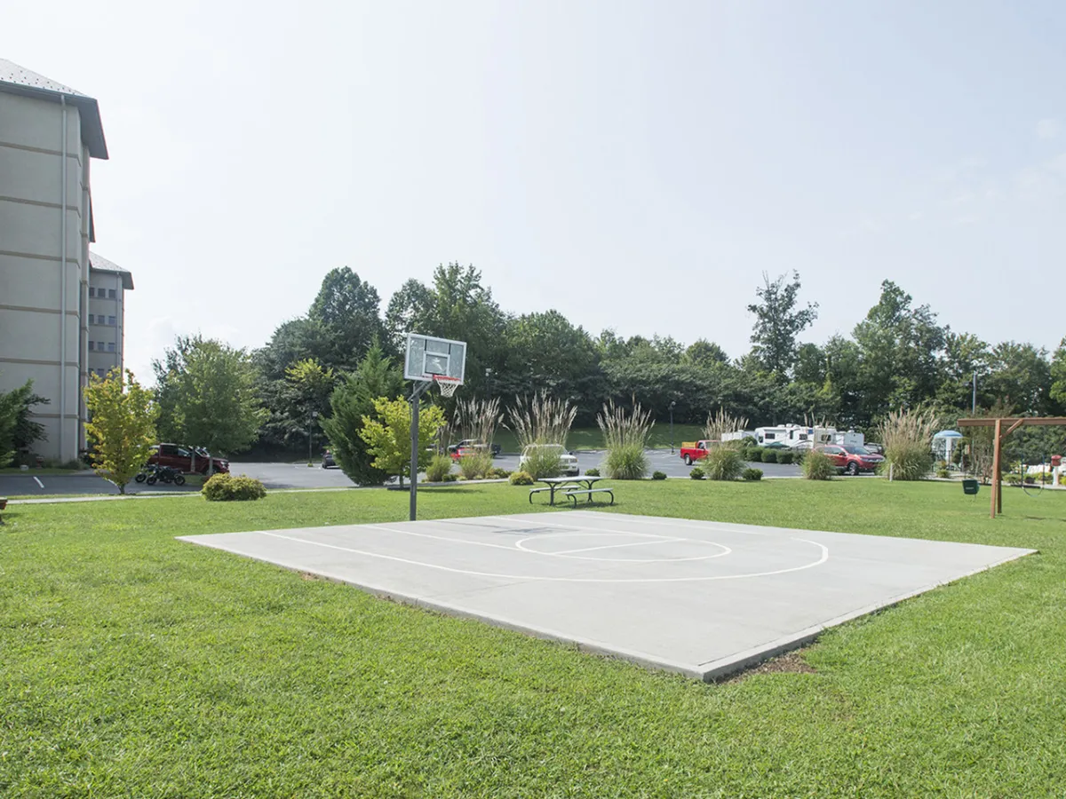 A vibrant exterior view of a basketball court surrounded by green grass and tall trees, with a picnic table nearby. The area is designed for active recreation and social gatherings, inviting guests to play sports, picnic, or relax in nature.